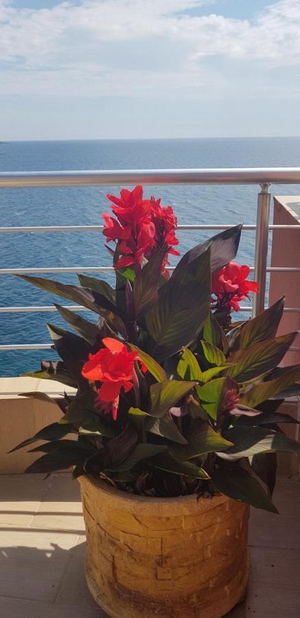 Apartment Sea Space 2 Dobra Voda Luaran gambar